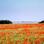 Ibis 3* Abbeville