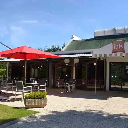 Ibis